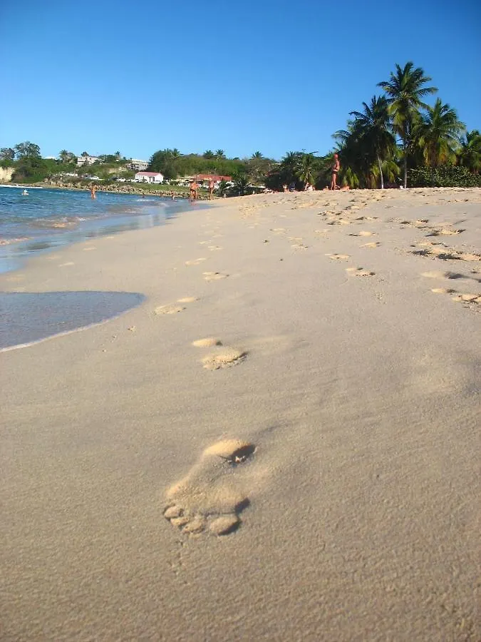 Villa Les Algues De La Chapelle Bleu Horizon Anse-Bertrand